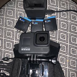 GoPro Hero 8 w/Chestmount,4 Batteries, and a Charger 