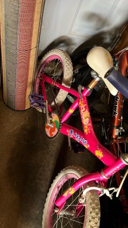 Princess Bike