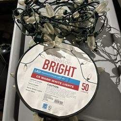 LED Indoor/outdoor Christmas lights