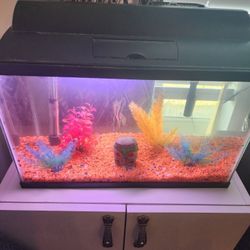 Fish Tank With Gravel Filter, Heater, Light, and Some Ornaments Included