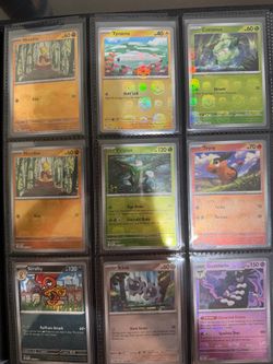 Pokemon Black Bolt and White Flare Masterball