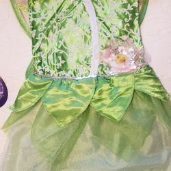 Tinkerbell Pixie Dress and Wings
