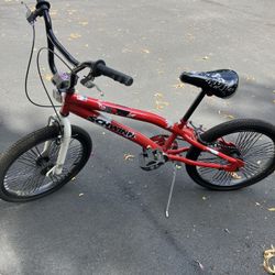 Schwinn Bike