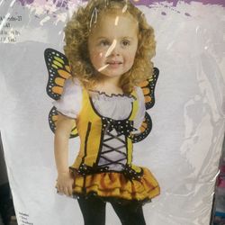 Butterfly Costume 