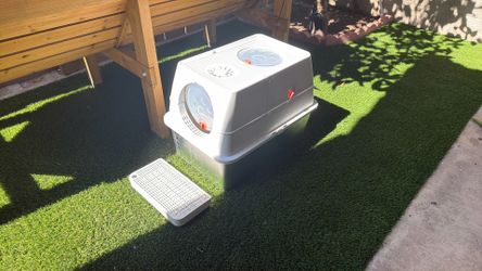 Cat Litter