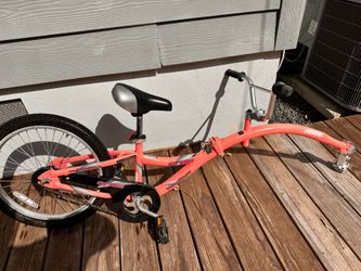 WeeRide Co-Pilot parent/kid ride along