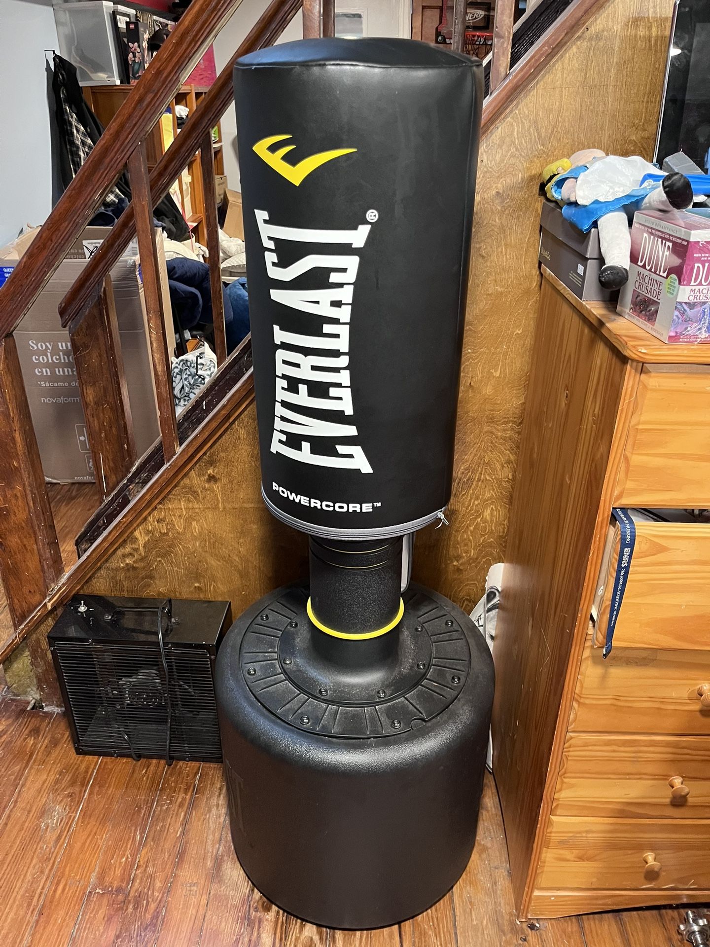 Everlast Standing Punching Bag (Need gone)