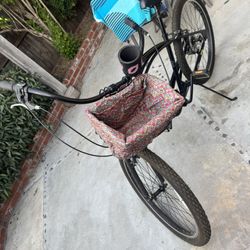 Beach Cruiser 
