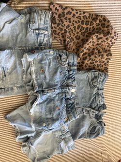 6t Shorts
