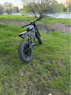 Ebike 30 mph speed