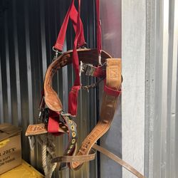 Climbing Harness