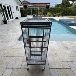 Bird Cage