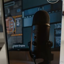 Blue yeti microphone