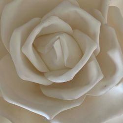 Moving everything must go whole house, full living room, dining rooms, bedrooms, TVs patio furniture near us and etc. Moving before Thanksgivksgiving.