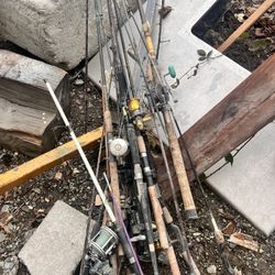 Fishing Rods 