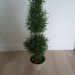 Faux Rosemary topiary