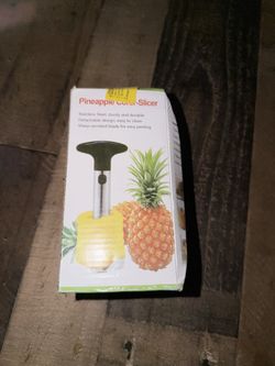 Flexzion stainless steel pineapple corer slicer