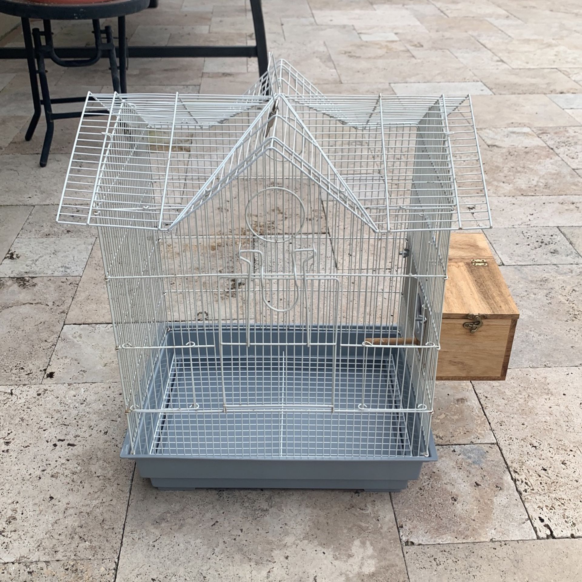 🦅 Bird Cage