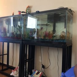 29 Gallon Tank And Stand