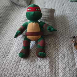 Ninja Turtles...