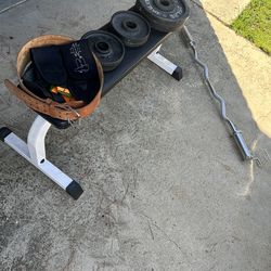 Bench and curl bar with weights