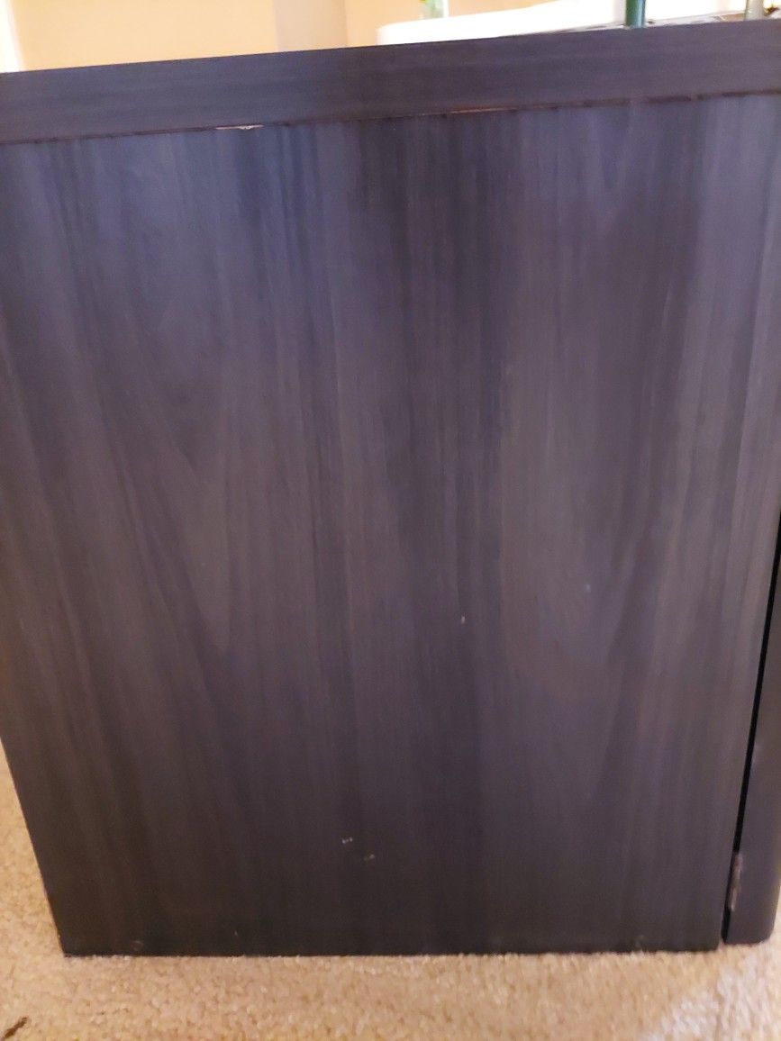 Sony Electronics Cabinet - Small