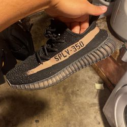 Yeezy 350 Size 10