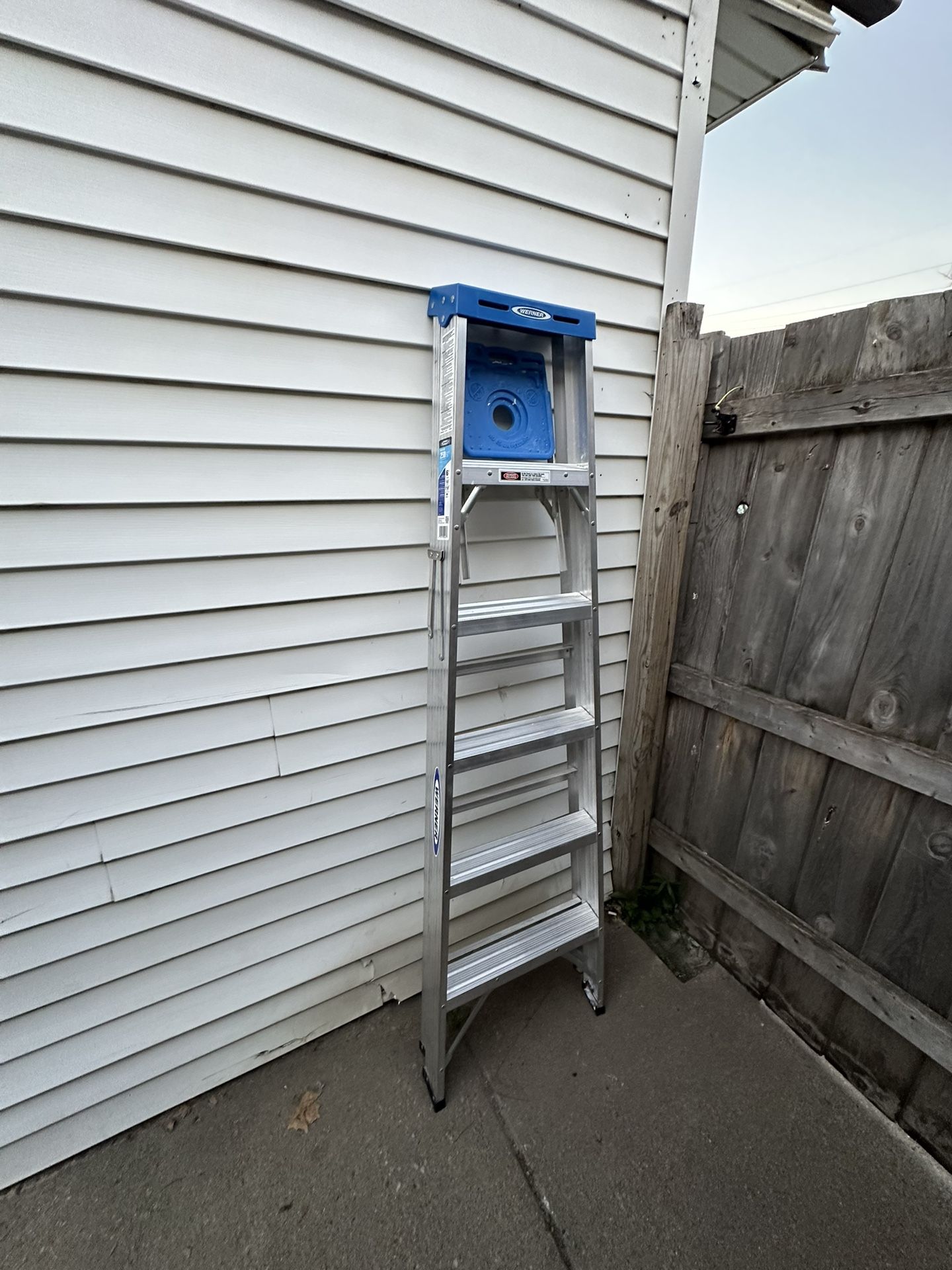 Werner 6 Ft Ladder