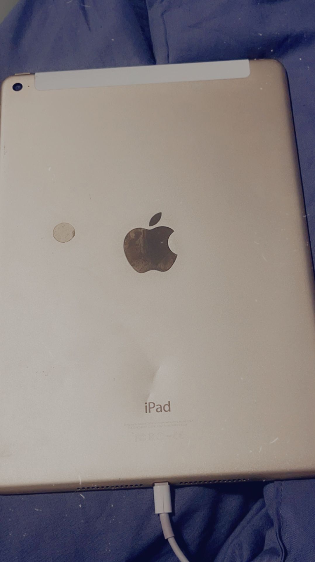 Apple iPad