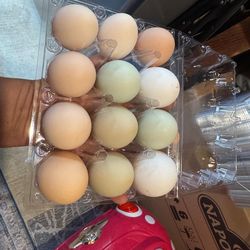 Fresh eggs