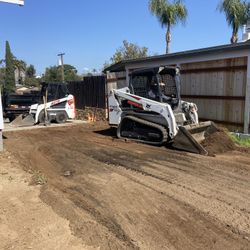 Bobcat 