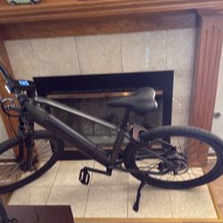 Favorite Electric Bicycle