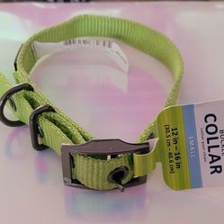 Collar For Dogs New