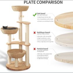 CAT Luxury Condo 54”Tree Tower-Brand New Down From $200