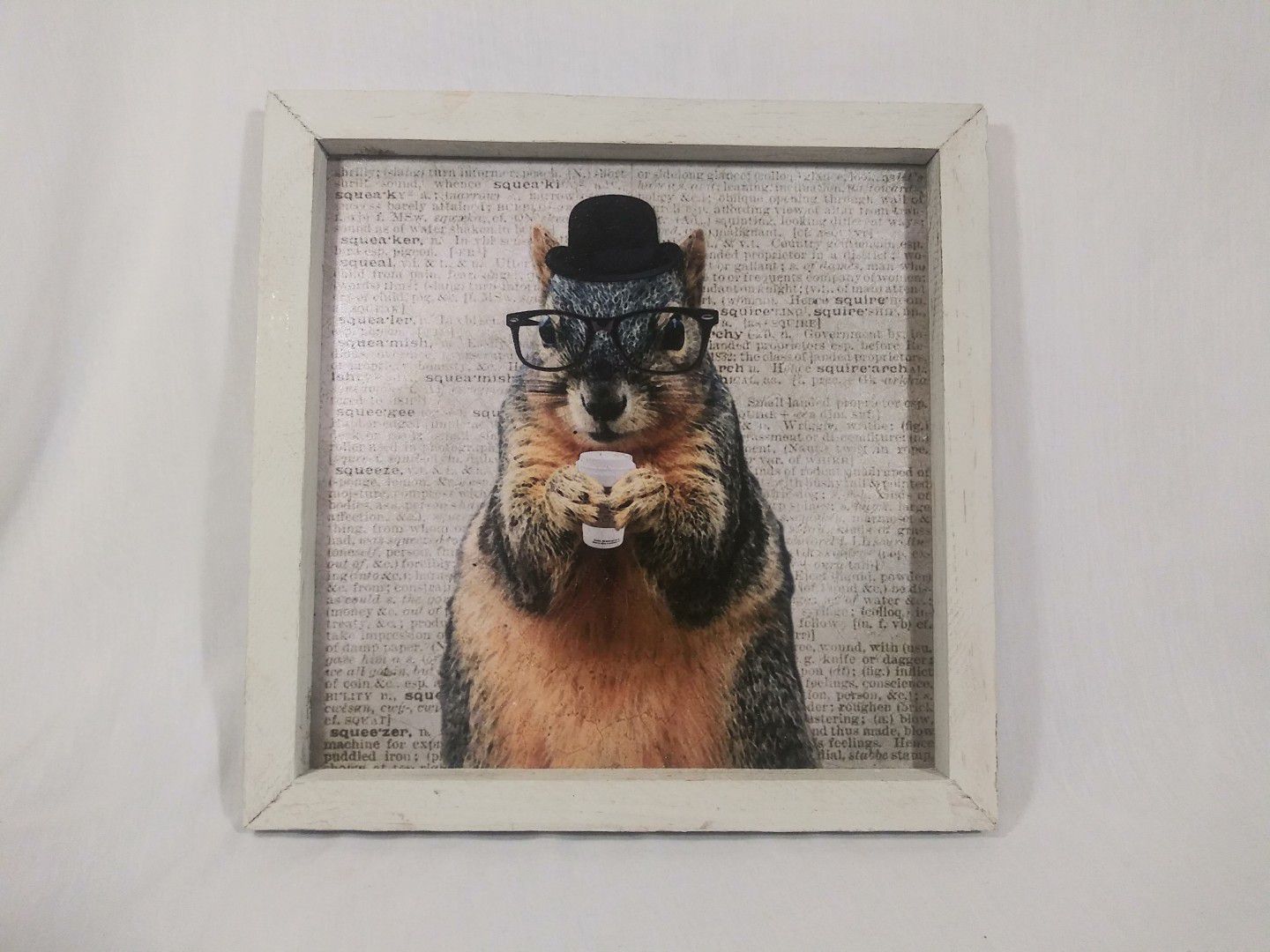 Hipster Squirrel Wall Art Framed