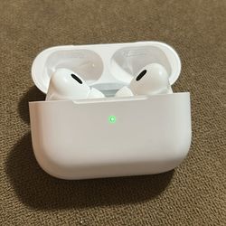 Earbuds (GOOD DEAL)