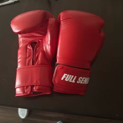 Full Send Boxing gloves