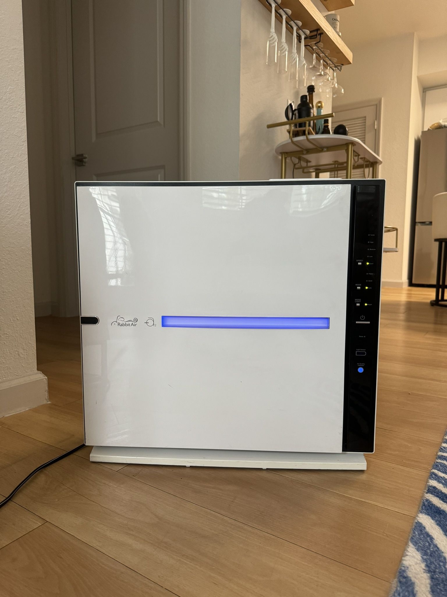 Rabbit Air Purifier