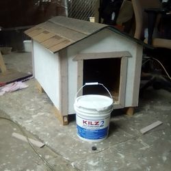 medium size dog house