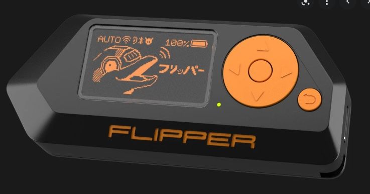 Flipper Zero Black Special Edition