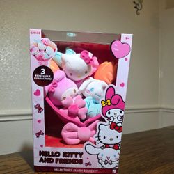 Hello Kitty/Sanrio Plush Bouquet/ Ramo De Peluches Sanrio/ Hello Kitty