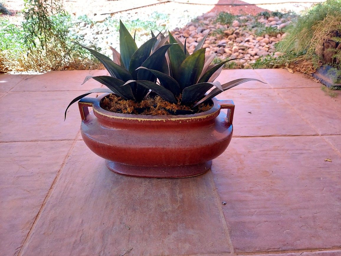 Fake Plant in Gorgeous Ceramic Planter