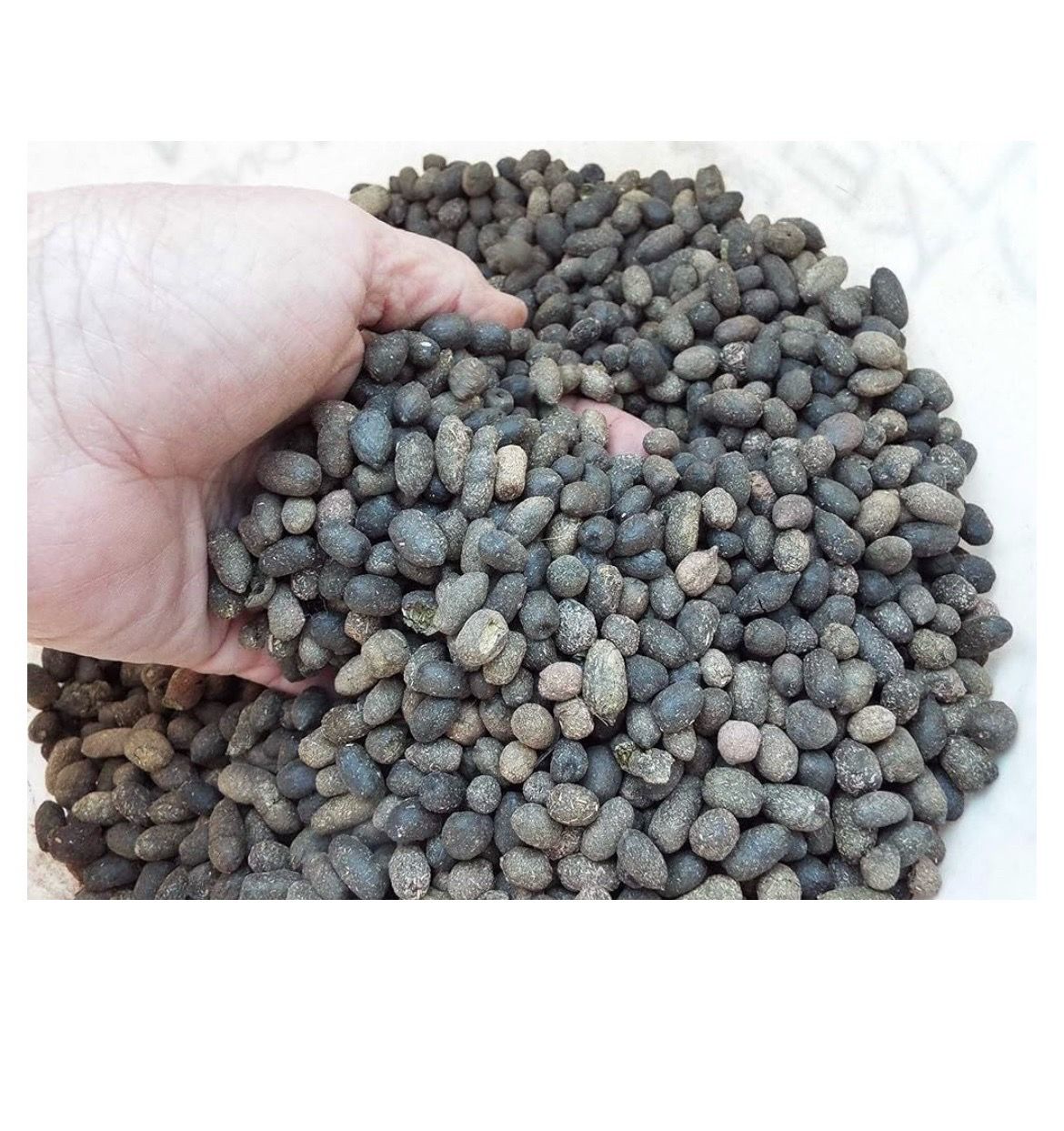 Alpaca Dung Manure Organic Fertilizer