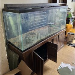 226 Gallon Fishtanks 