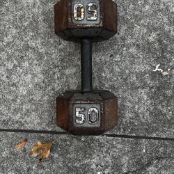50lb Dumbbell 