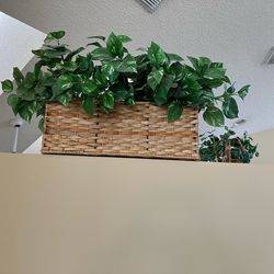 Artificial Plant in Woven Basket