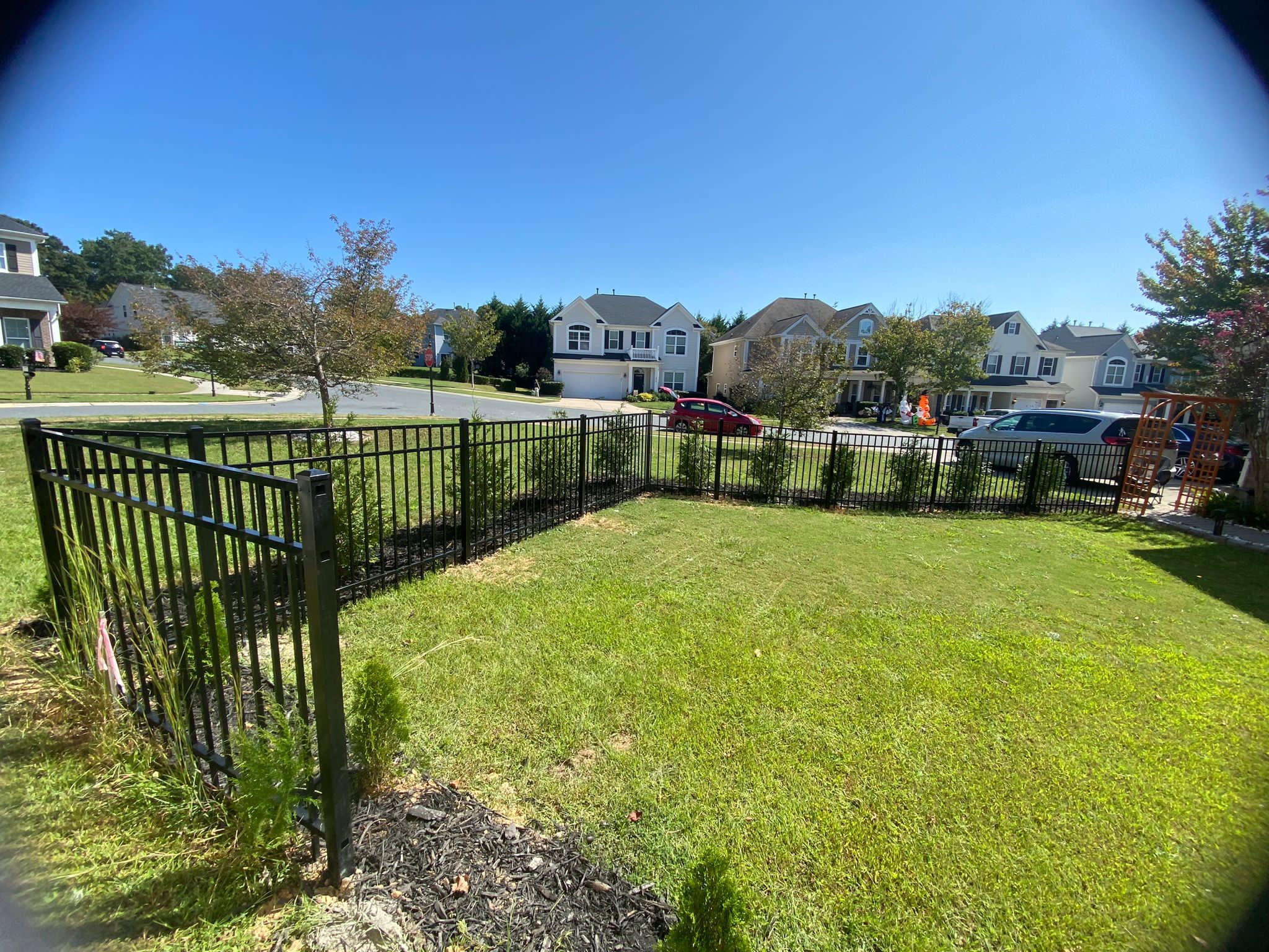 Fence 