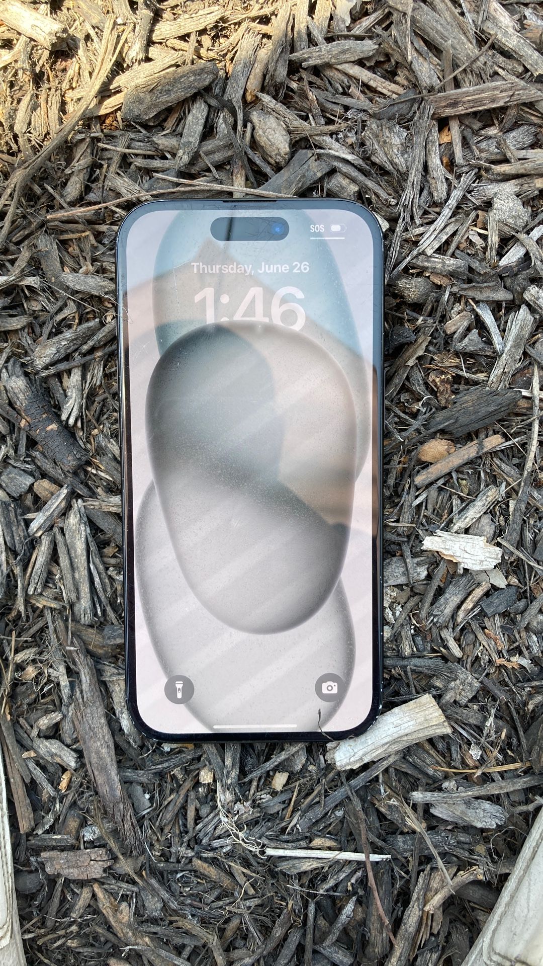 iPhone 15