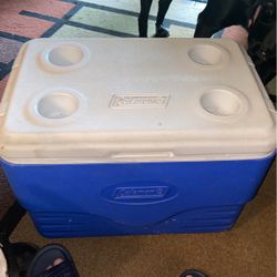 Coleman 36 Qt Cooler One Flaw On Bottom  