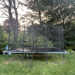 AlleyOOP 10'×17' Rectangle Trampoline with Enclosure  by